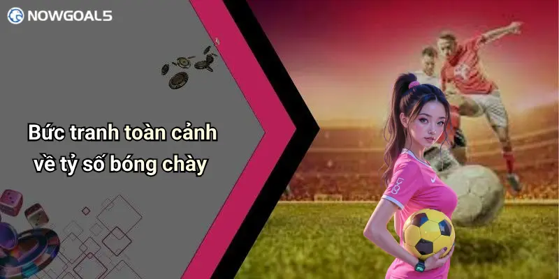 Bức tranh toàn cảnh về tỷ số bóng chày