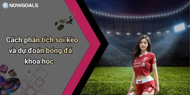Cách phân tích soi kèo và dự đoán bóng đá khoa học