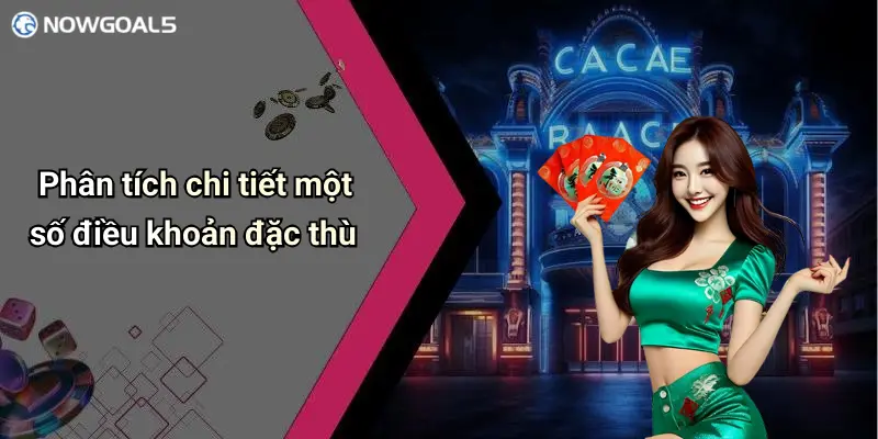 Phân tích chi tiết một số điều khoản đặc thù
