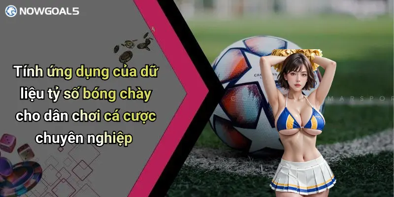 Tính ứng dụng của dữ liệu tỷ số bóng chày cho dân chơi cá cược chuyên nghiệp