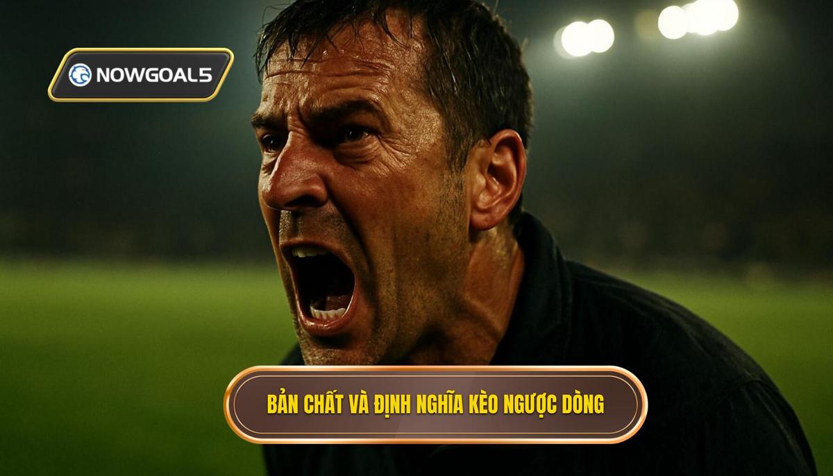Bản Chất Và Định Nghĩa Về Kèo Ngược Dòng