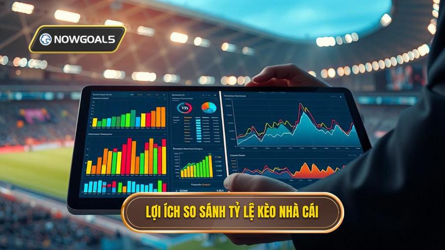 Lợi ích so sánh tỷ lệ kèo nhà cái