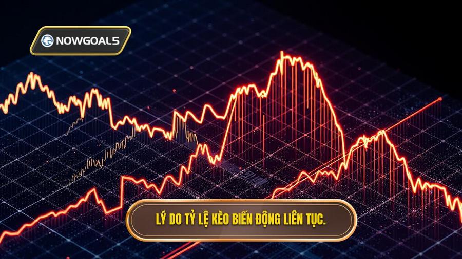 Lý do tỷ lệ kèo biến động liên tục
